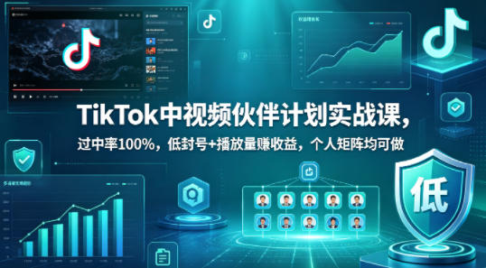 TikTok中视频伙伴计划实战课，过中率100%，低封号+播放量賺收益，个人矩阵均可做-星鸦资源