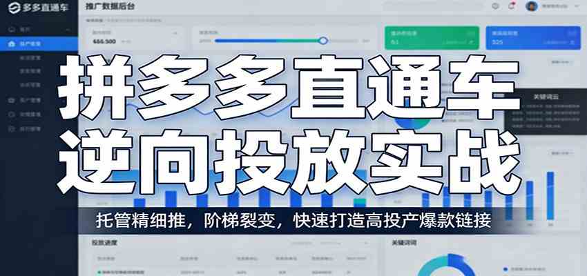 拼多多直通车逆向投放实战：托管精细推，阶梯裂变，快速打造高投产爆款链接-星鸦资源