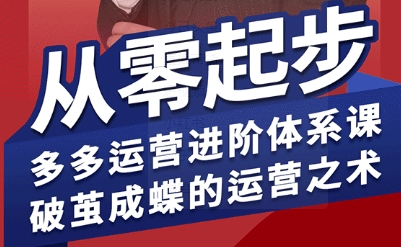 拼多多运营进阶系统课，从零起步，多多运营进阶体系课，破茧成蝶的运营之术（更新26年4月）-星鸦资源