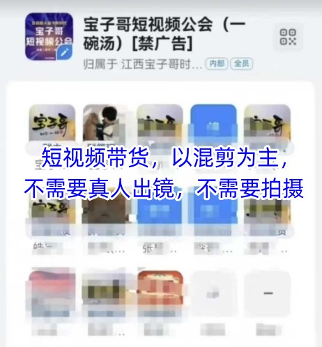 宝子哥头部团队短视频带货，以混剪为主，不需要真人出镜，不需要拍摄【更新26年3月】-星鸦资源