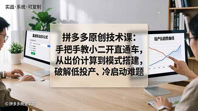 （18159期）拼多多原创技术课：手把手教小二开直通车，从出价计算到模式搭建，破解低投产、冷启动难题-星鸦资源