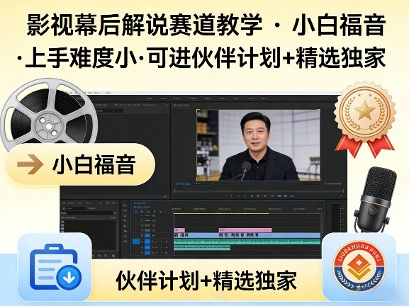 某大佬的影视幕后解说赛道教学，小白福音，上手难度小，可进伙伴计划+精选独家-星鸦资源
