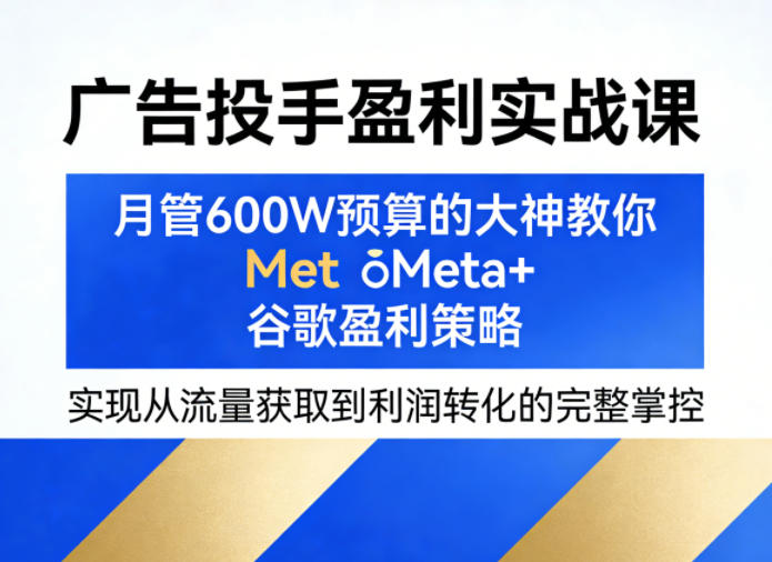 广告投手盈利实战课，月管600W预算的大神教你Meta+谷歌盈利策略，实现从流量获取到利润转化的完整掌控-星鸦资源