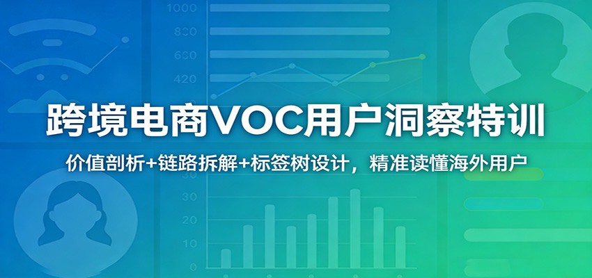 跨境电商VOC用户洞察特训：价值剖析+链路拆解+标签树设计，精准读懂海外用户-星鸦资源